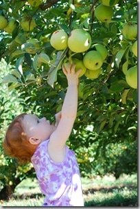 picking her own apple