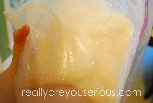 3 ingredient ice cream in a bag