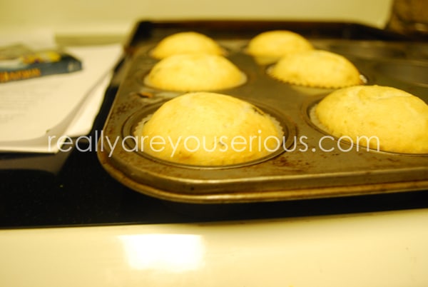 Schwans after school snacks