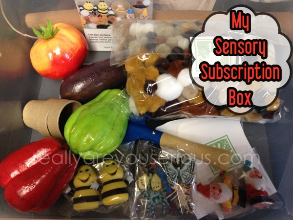 My Sensory Box Review