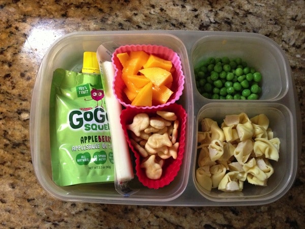 Easy to pack lunches for toddlers and preschoolers • Really, Are