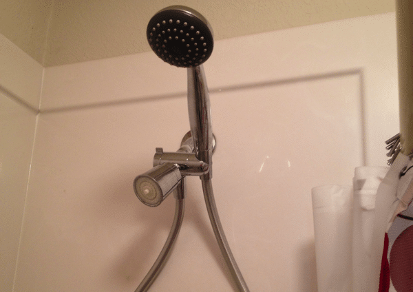 Rejuvenator Showerhead