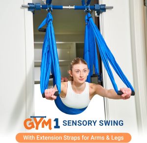 gym1 sensory swing