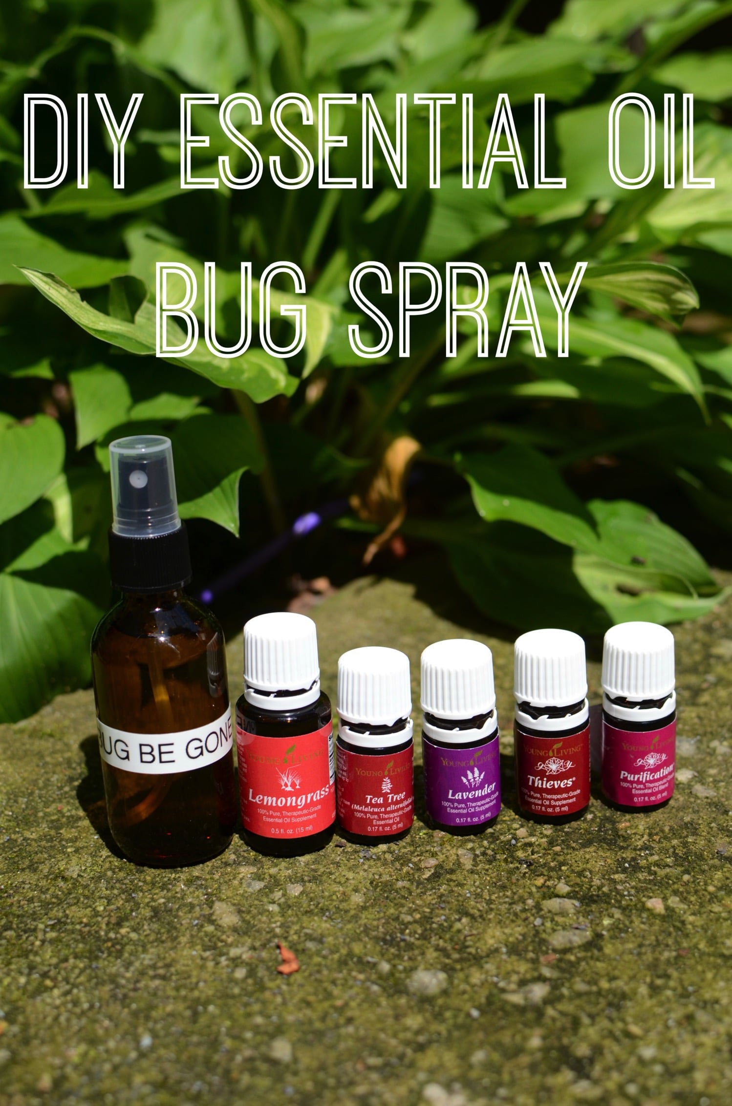 essential oil insect repellent