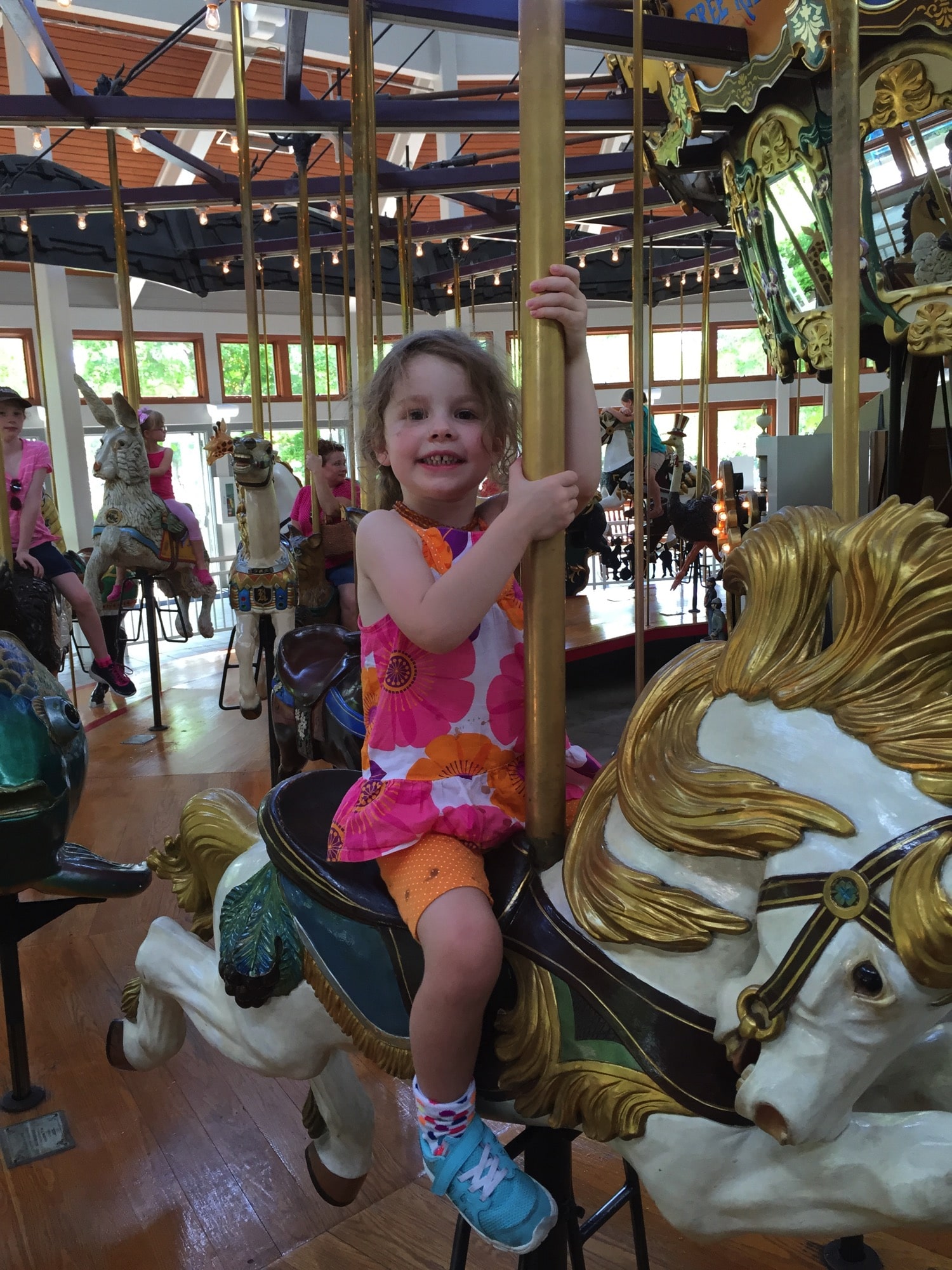 riding carousels