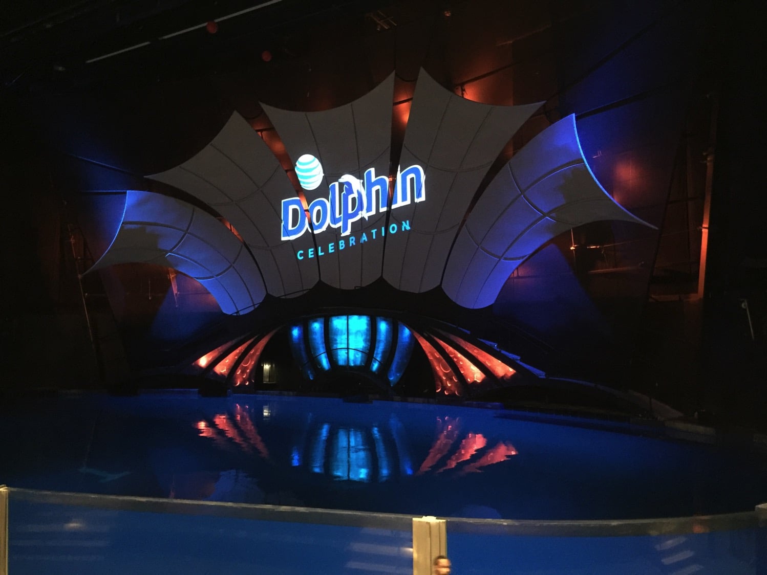 New dolphin show at the Georgia Aquarium