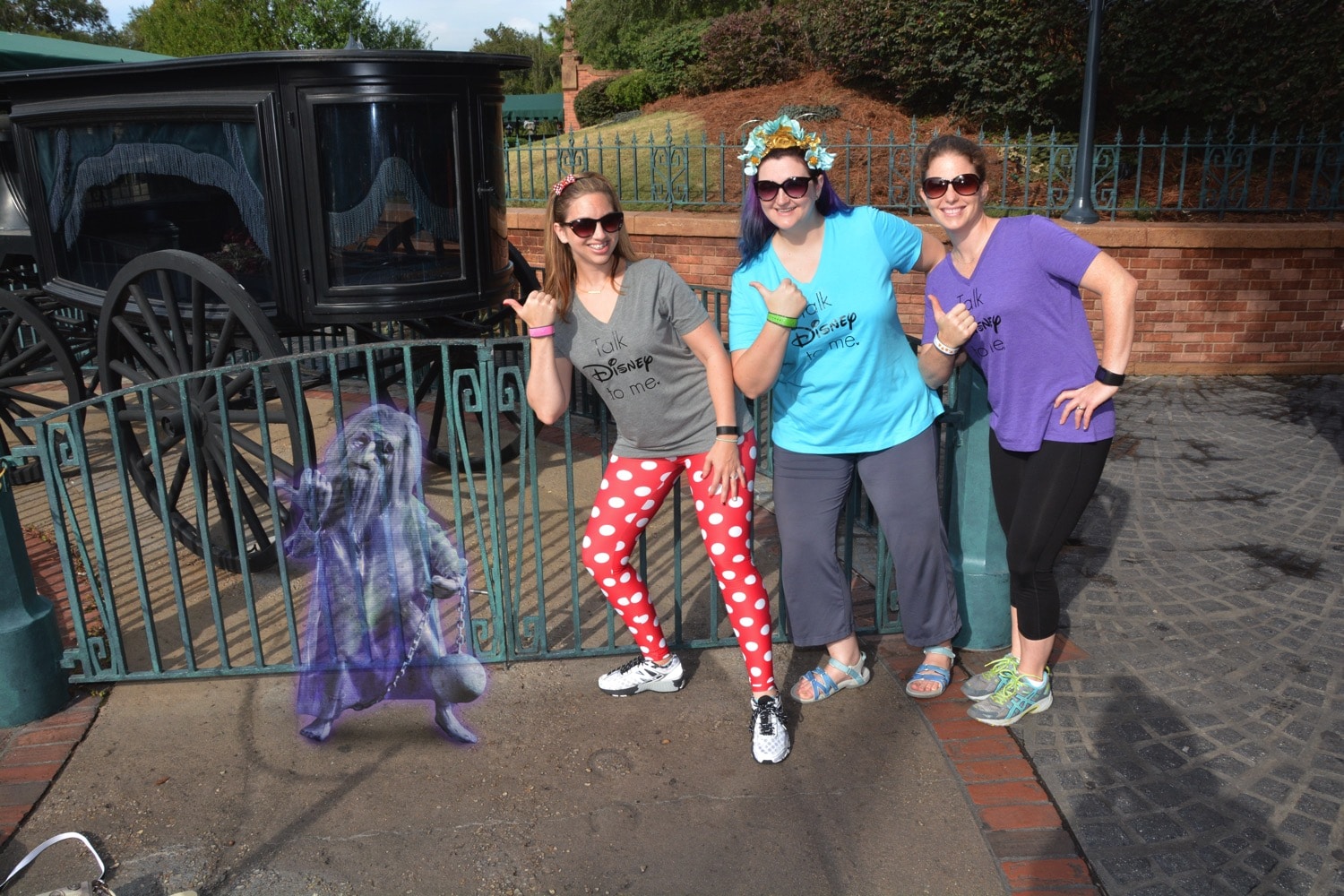haunted mansion hitch hiker magic picture vip tour