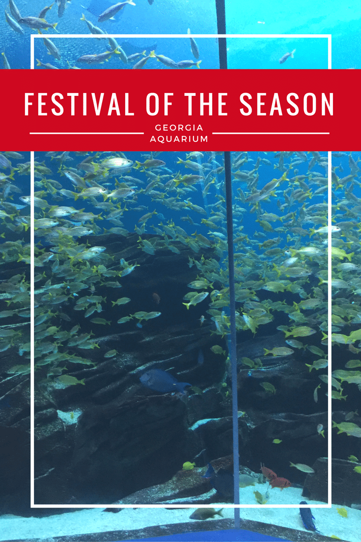 Festival of the SEAson