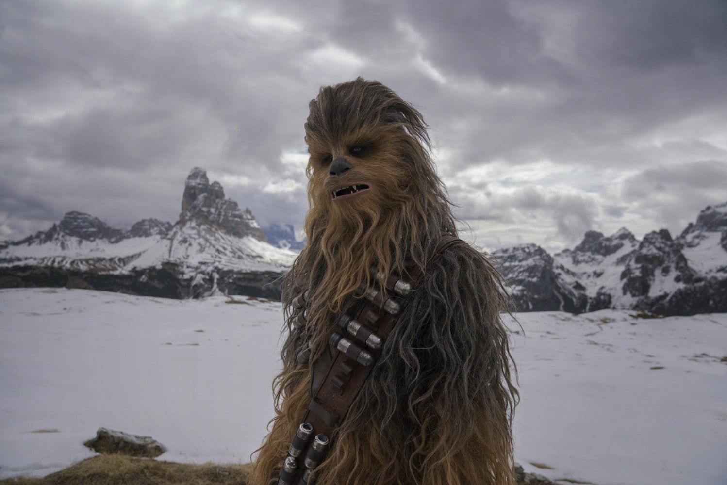 Chewbacca from Solo.jpg