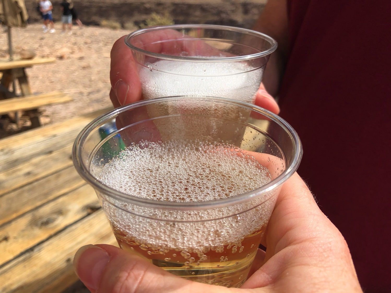 champagne toast inside the grand canyon