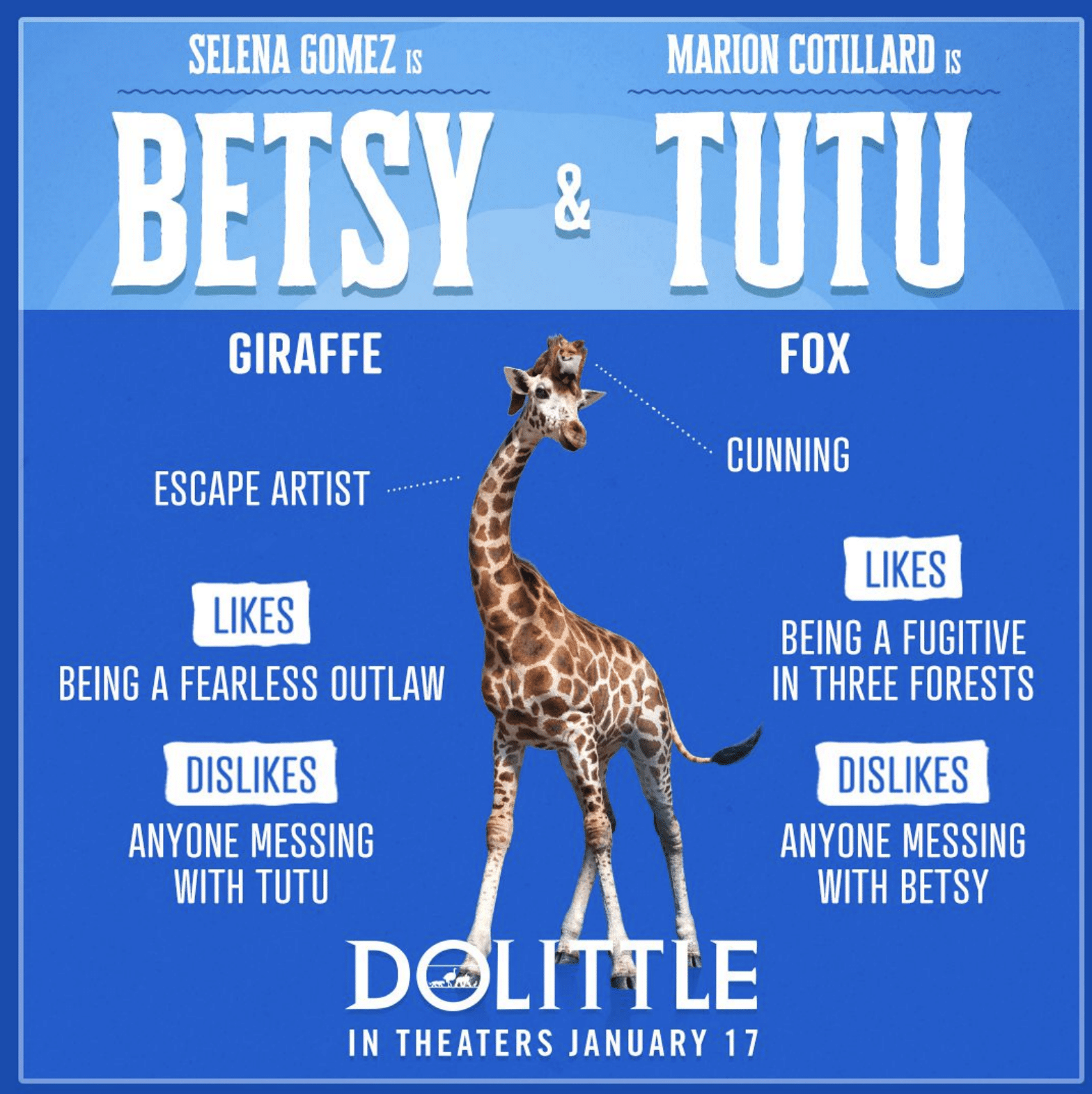 dolittle activity card