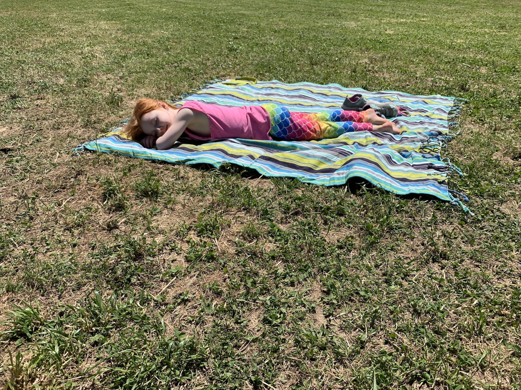 b laying in the sun