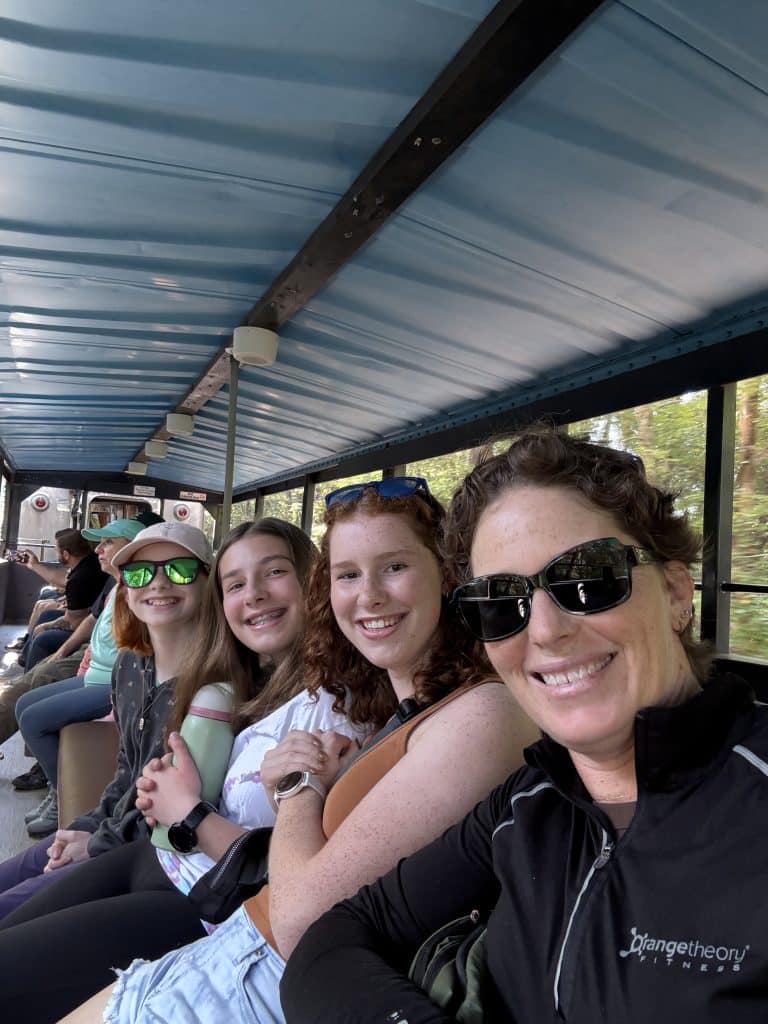 Scenic railway blue ridge mommy and me Monday