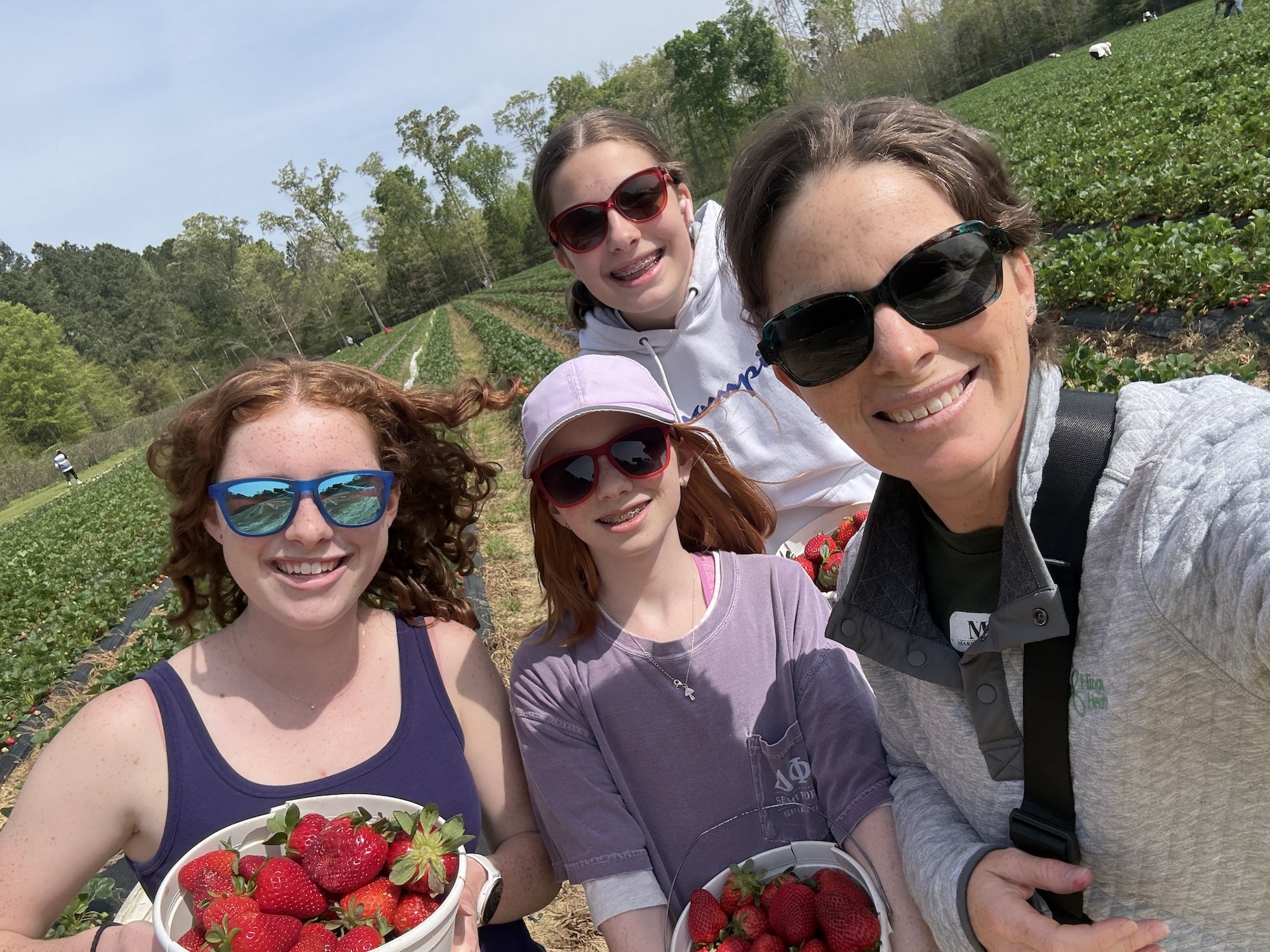 picked lots of strawberries mommy and me monday